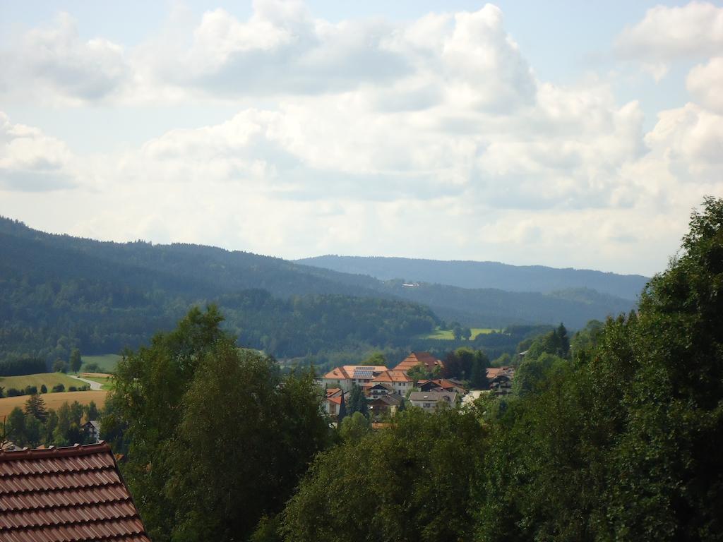 Ferienwohnung Bodenmais Am Silberberg Exteriér fotografie